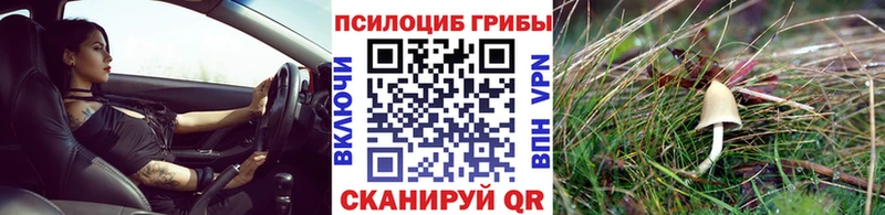 Галлюциногенные грибы Magic Shrooms  Купить закладки  Нерчинск 